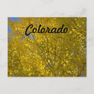 Aspens Postcard