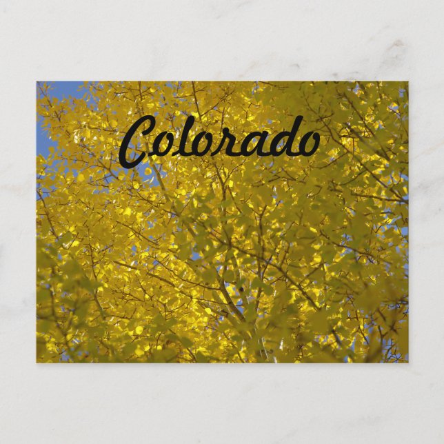 Aspens Postcard (Front)