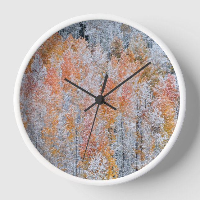 Aspens & Snow | Rocky Mountains, Colorado Clock (Front)