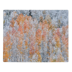 Aspens & Snow   Rocky Mountains, Colorado Jigsaw Puzzle