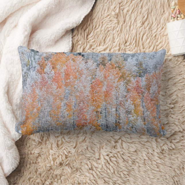 Aspens & Snow | Rocky Mountains, Colorado Lumbar Pillow (Blanket)