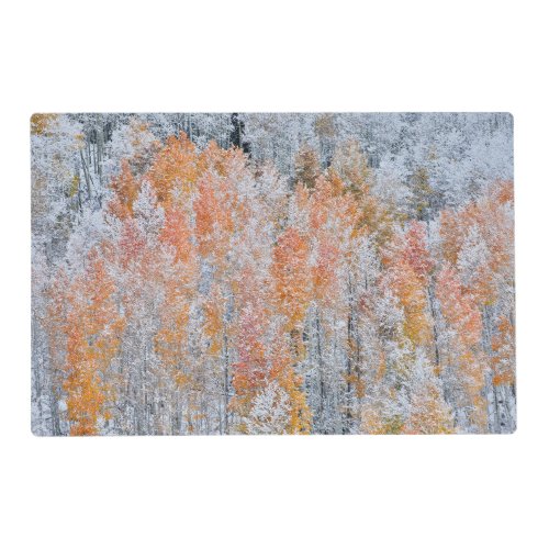 Aspens  Snow  Rocky Mountains Colorado Placemat