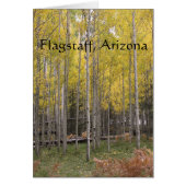 Aspen's yellow glow flagstaff (Front)