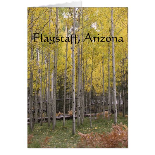 Aspen's yellow glow flagstaff cards (Front)