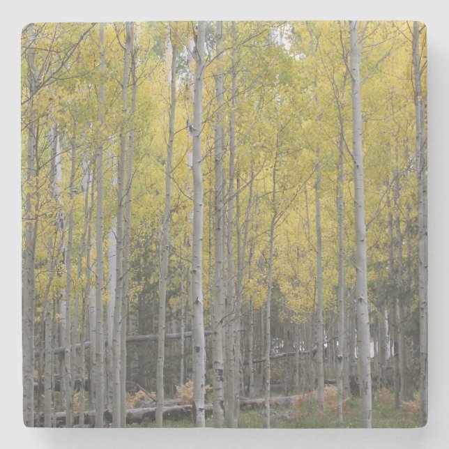 Aspen's yellow glow stone coaster (Front)