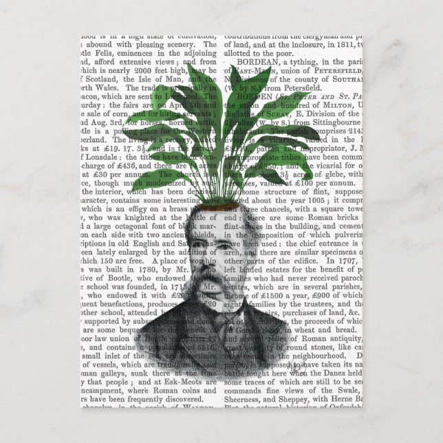 Aspidistra Head Plant Head Postcard (Front)