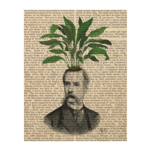 Aspidistra Head Plant Head Wood Wall Art
