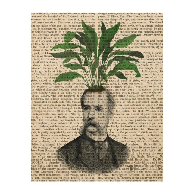 Aspidistra Head Plant Head Wood Wall Art (Front)
