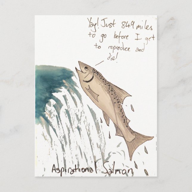 Aspirational Salmon Postcard (Front)