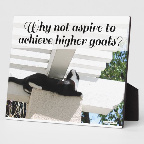 Aspire to Higher Goals Motivational Cat  Plaque