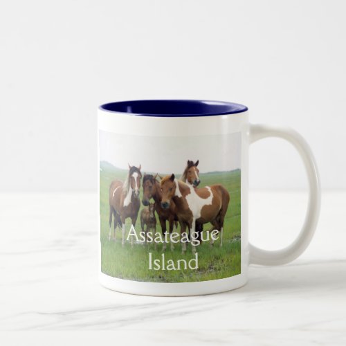 Assateague Island Horses Mug