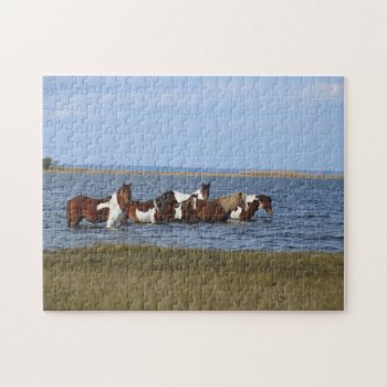 Assateague Island Horses Wading Offshore Jigsaw Puzzle by FalconsEye at Zazzle