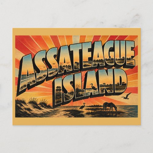 Assateague Island Maryland Beach Marsh Wildlife Postcard