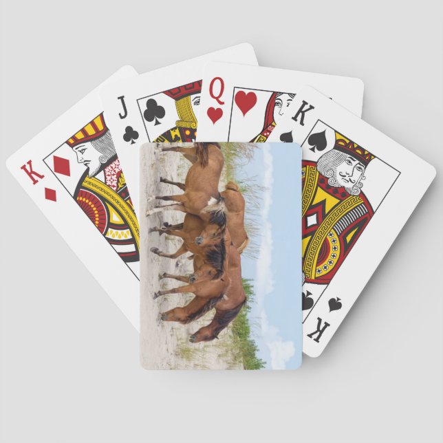 Assateague Island, Maryland Poker Cards (Back)