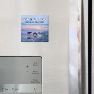 Assateague Island National Seashore Horses Vintage Magnet