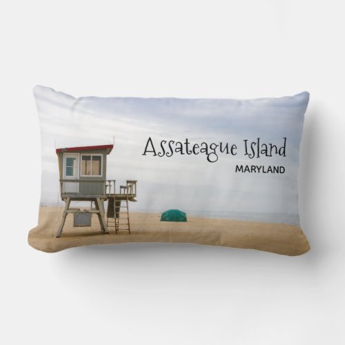 Assateague Island National Seashore Lumbar Pillow