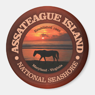 Assateague Island National Seashore Magnet