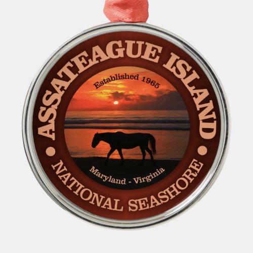 Assateague Island National Seashore Metal Ornament