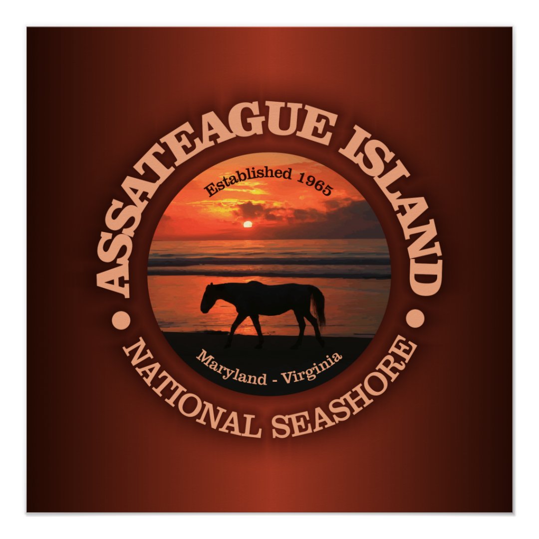 Assateague Island National Seashore Poster Zazzle 