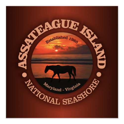 Assateague Island National Seashore Poster