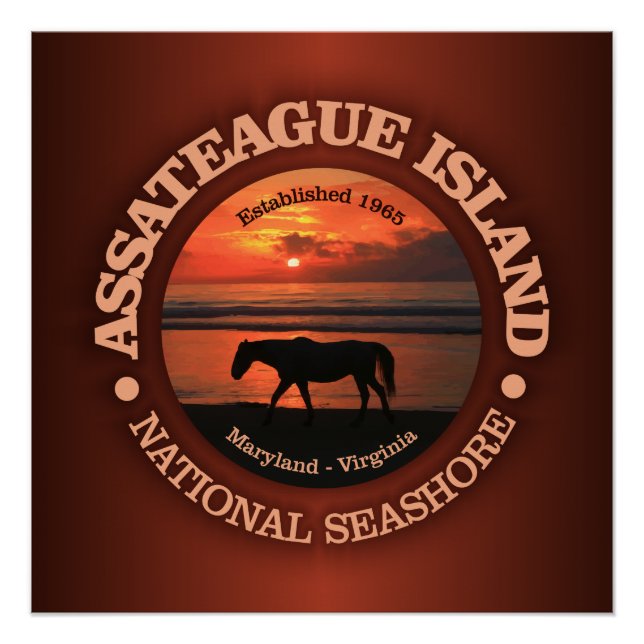 Assateague Island National Seashore Poster (Front)