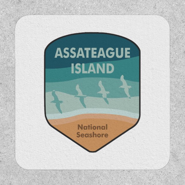Assateague Island National Seashore Seagulls Patch (Front)