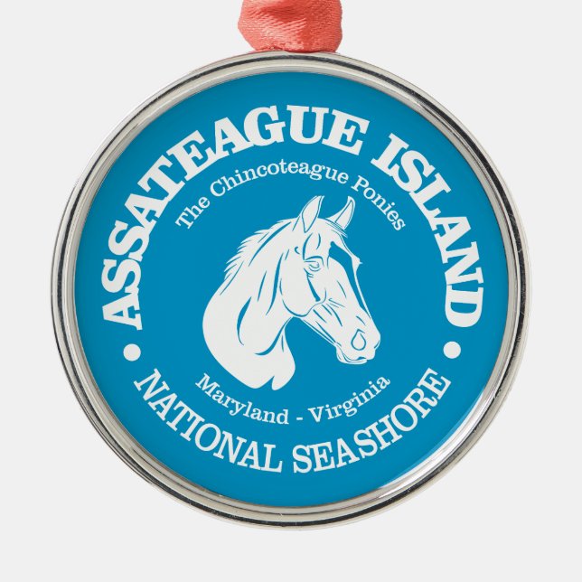 Assateague Island (pony) Metal Ornament (Front)
