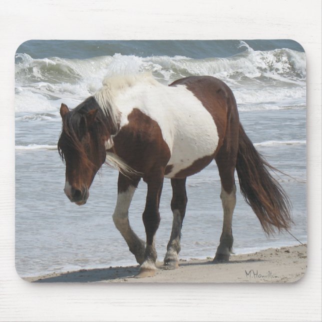 Assateague Island Pony Mouse Pad (Front)