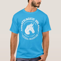 Assateague Island (pony)