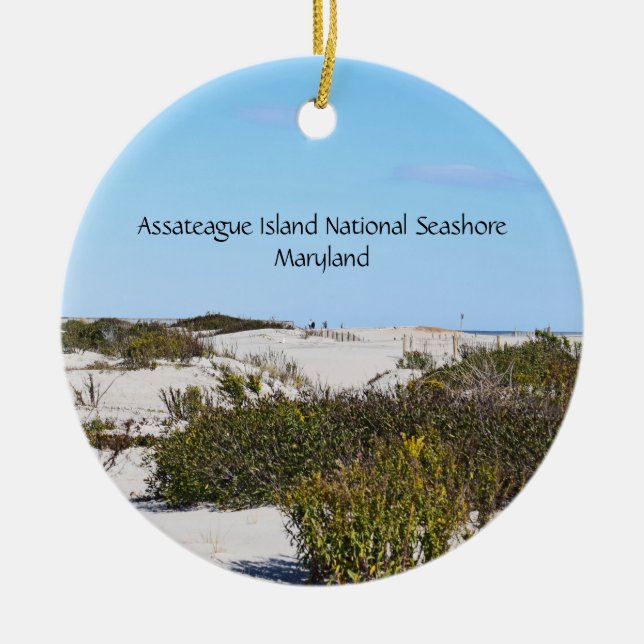 Assateague Island Round Ornament (Front)