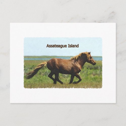 Assateague Island running stallion logo Postcard