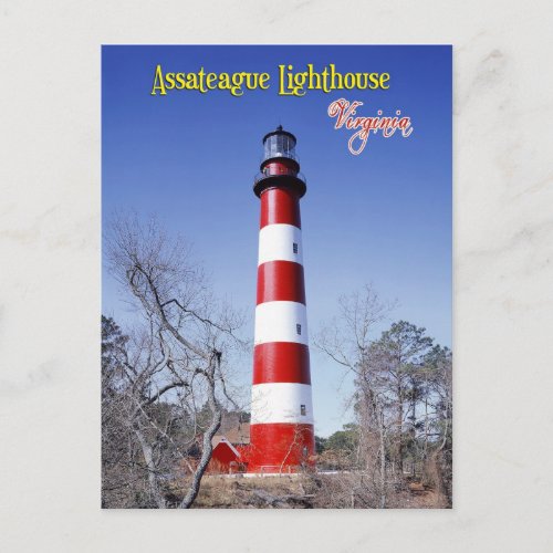 Assateague Lighthouse Virginia Postcard