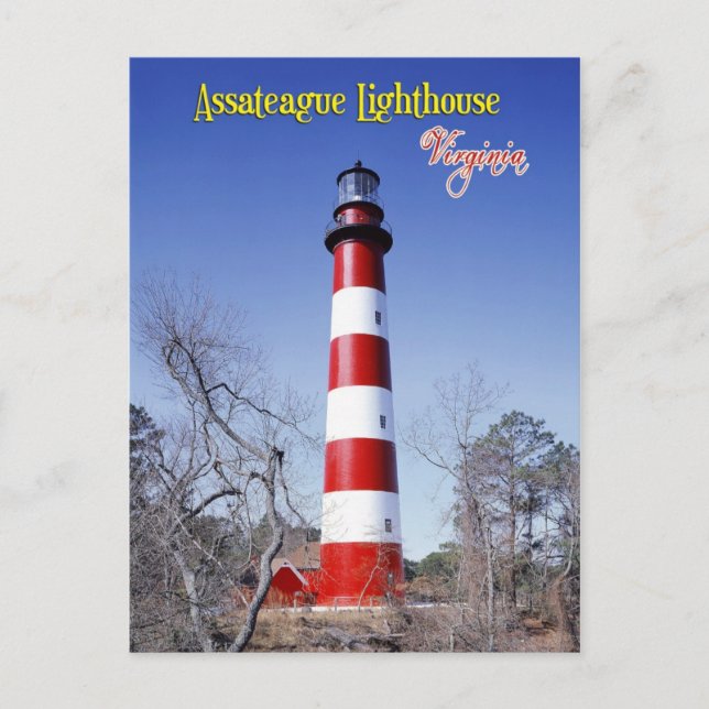 Assateague Lighthouse, Virginia Postcard (Front)