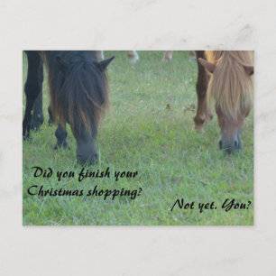 Assateague ponies Christmas cards and stamps