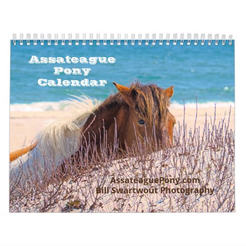 Assateague Pony Calendar