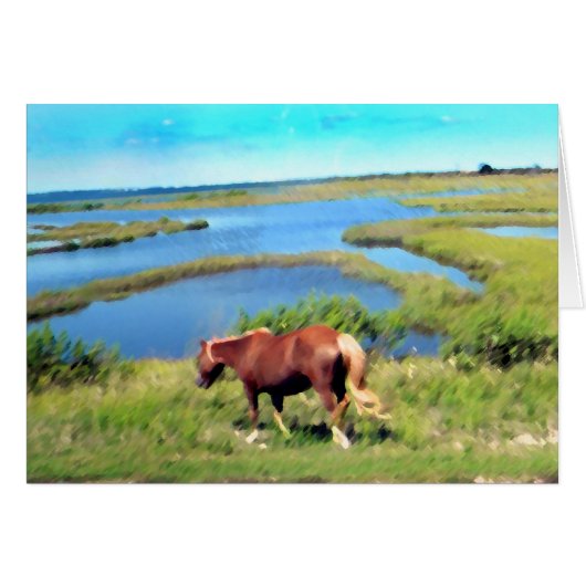 Assateague pony cards (Front Horizontal)