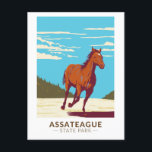 Assateague State Park Maryland Badge Postcard<br><div class="desc">Assateague State Park vector artwork design.</div>