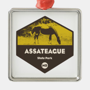 Assateague State Park Maryland Metal Ornament