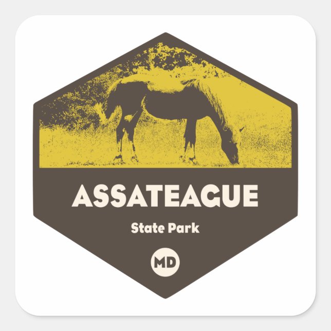 Assateague State Park Maryland Square Sticker (Front)