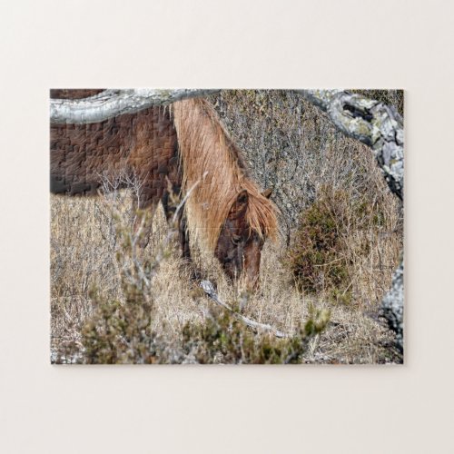 Assateague Wild Horse Jigwaw Jigsaw Puzzle