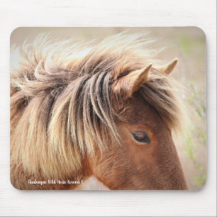 Assateague Wild Horse Mouse Pad