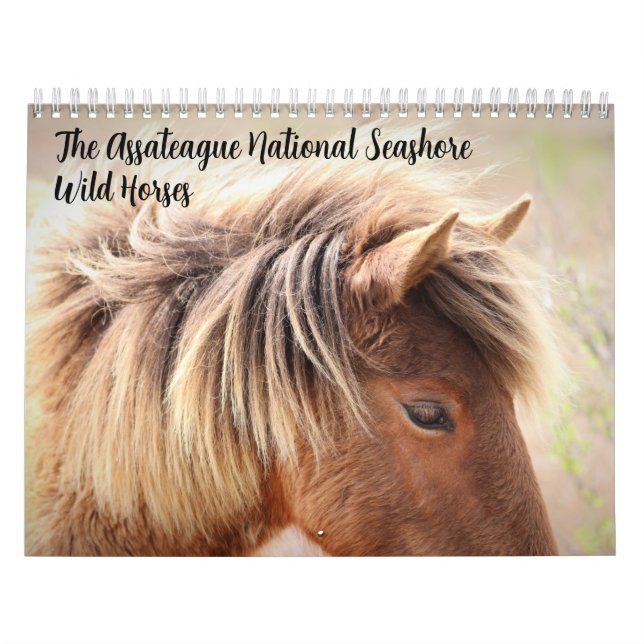 Assateague Wild Horses Calendar (Cover)