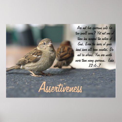 Assertiveness Poster _ Sparrows Quote