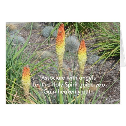 Associate With Angels Cards (Front Horizontal)