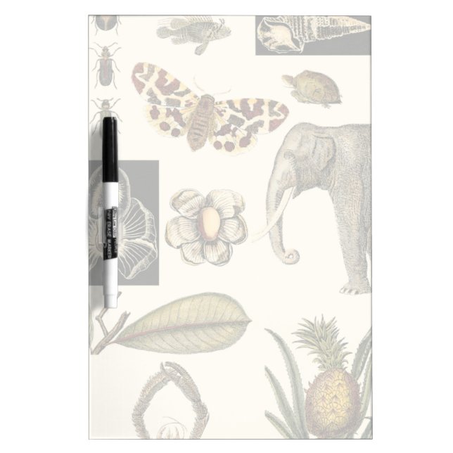 Assorted Animals Painted on Cream Background Dry-Erase Board (Front)