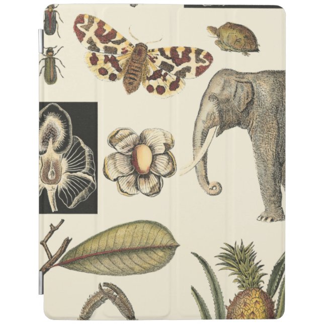 Assorted Animals Painted on Cream Background iPad Smart Cover (Front)