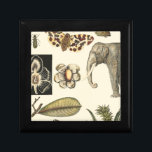Assorted Animals Painted on Cream Background Keepsake Box<br><div class="desc">The wonders of nature are shown in this piece by Vision Studio. Creepy insects mix with an elephant,  butterfly and other assorted animals. If you love nature this is the print for you!</div>