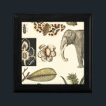 Assorted Animals Painted on Cream Background Keepsake Box<br><div class="desc">The wonders of nature are shown in this piece by Vision Studio. Creepy insects mix with an elephant,  butterfly and other assorted animals. If you love nature this is the print for you!</div>