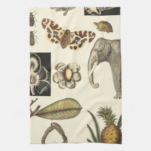 Assorted Animals Painted on Cream Background Kitchen Towel