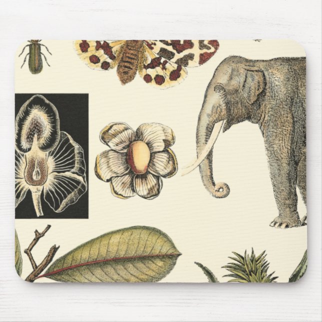Assorted Animals Painted on Cream Background Mouse Pad (Front)